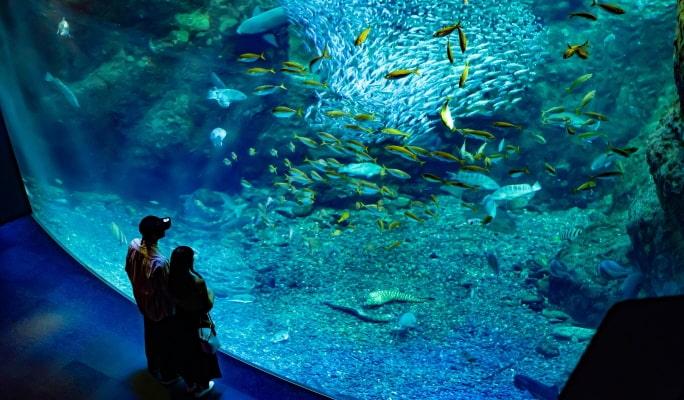 Enoshima Aquarium Admission Ticket - main view