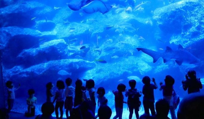 Sumida Aquarium Admission Ticket - main view