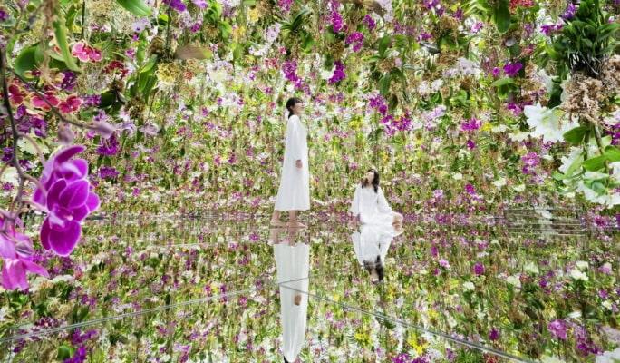 teamLab Planets TOKYO DMM Admission Ticket - main view