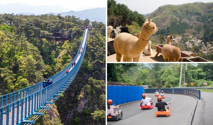 Alpaca World + Hoengseong Luge + Sogeumsan Mountain Grand Valley 1 Day Tour - from Seoul - main view