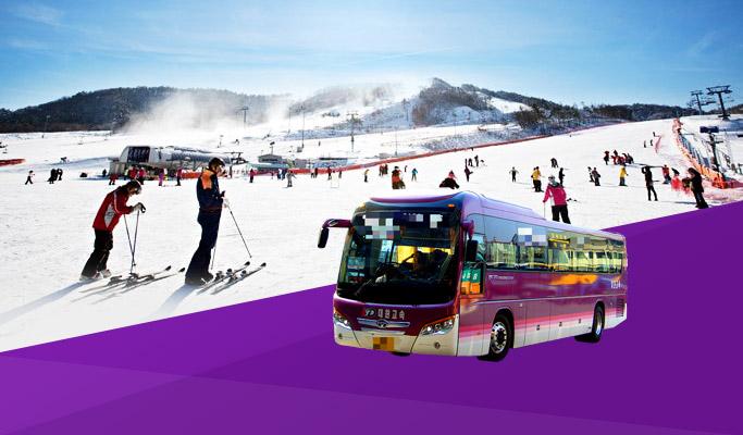 Seoul/Airport ↔ Alpensia Ski Resort Shuttle Bus - main view