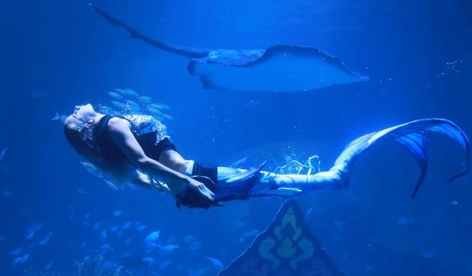 Aquaria Phuket Discount Ticket (+ AR Trick Eye Museum Ticket option) - main view