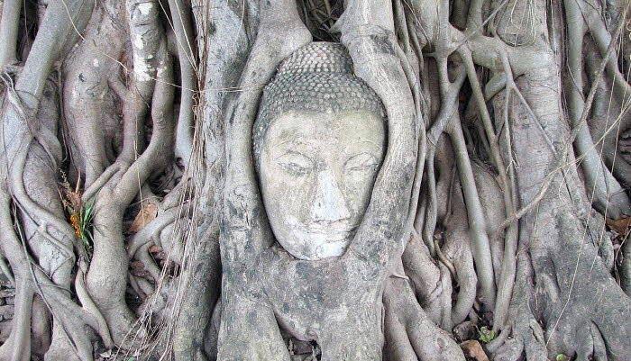 Ayutthaya Group Tour: Kingdom of Might & Magic - main view