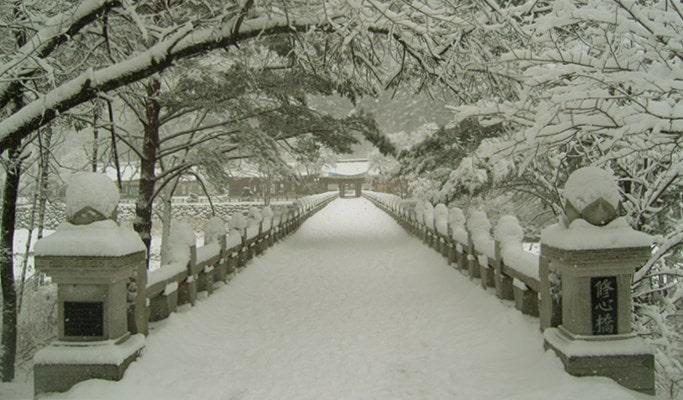 Templestay Korea: Baekdamsa Temple in Seoraksan National Park (+ Shuttle Bus) - main view