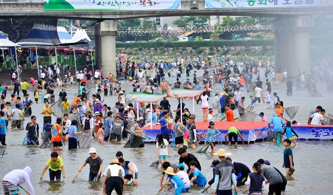 Bonghwa Eun-uh (Sweet Fish) Festival 1 Day Tour (Jul 29 ~ Aug 5) - main view