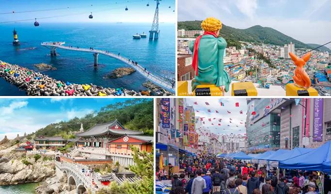 Explore 9 Busan Highlights in 1 Day (+ Beach Train/ Sky Capsule option) - main view