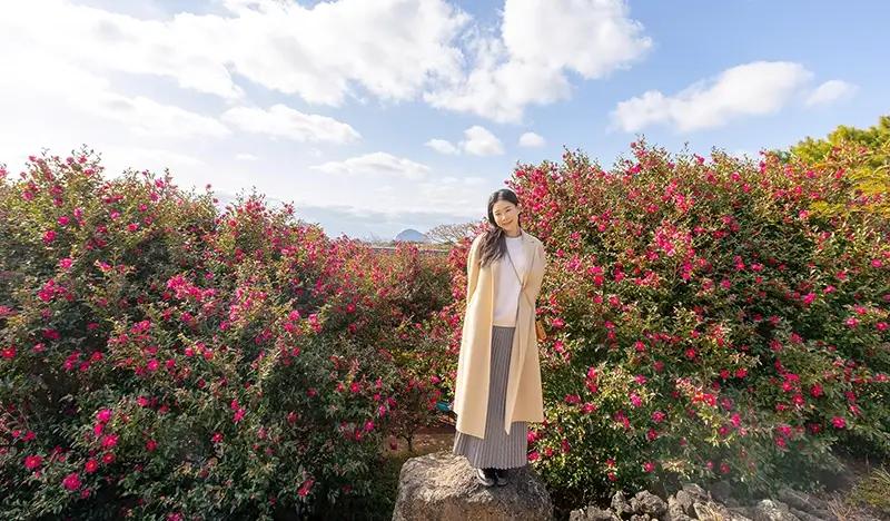 Camellia Hill Jeju Discount Ticket - main view