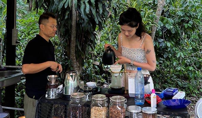 Chiang Mai Organic Coffee Farm Half Day Tour by Zeit Roaster (+ Hotel Transfer option) - main view