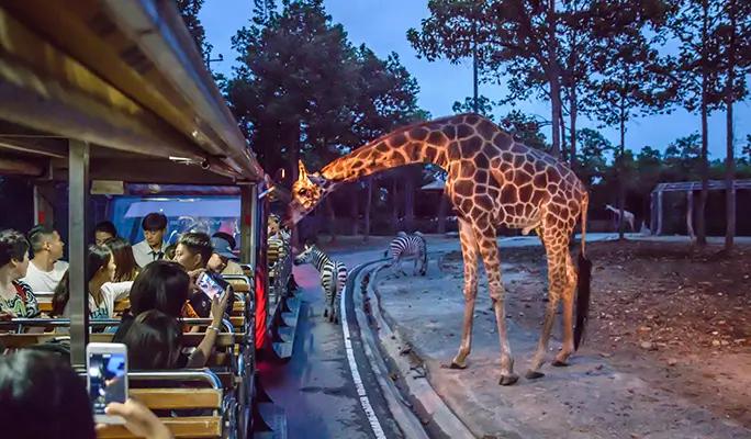 Chiang Mai Night Safari Discount Ticket (+ Transfer option) - main view