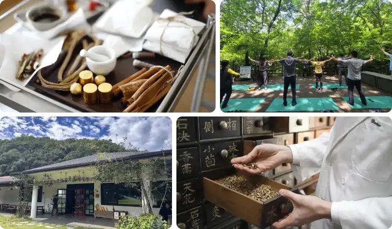 [Wellness in Chungbuk] 1-Day Healing Tours in Jecheon, Chungju, Cheongju, and Boeun - main view