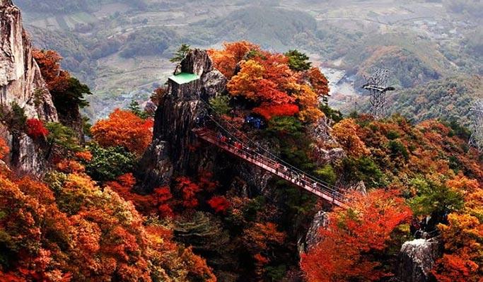 Korea Autumn/Fall Foliage Mountain Shuttle Bus Package - main view