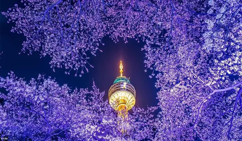 Daegu E-World & 83 Tower Observatory Discount Ticket - 3