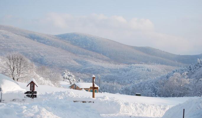Seoraksan National Park Private Tour (+ Nami Island / Naksansa Temple / Daegwallyeong Sheep Farm / Sokcho Tourist & Fishery Market) - main view