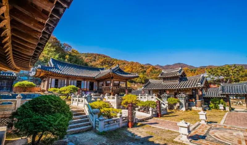 MBC Dae Jang Geum Theme Park Half Day Tour from Seoul - main view
