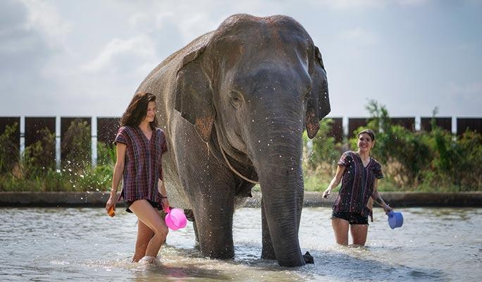 Pattaya Elephant Jungle Sanctuary Visit (Morning/Afternoon) (+ Hotel Transfer) - main view