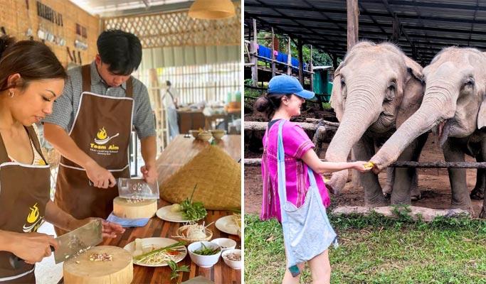 Chiang Mai Elephant Sanctuary + Authentic Thai Cooking Class (+ Lunch & Dinner) (+ Hotel Transfer) - main view