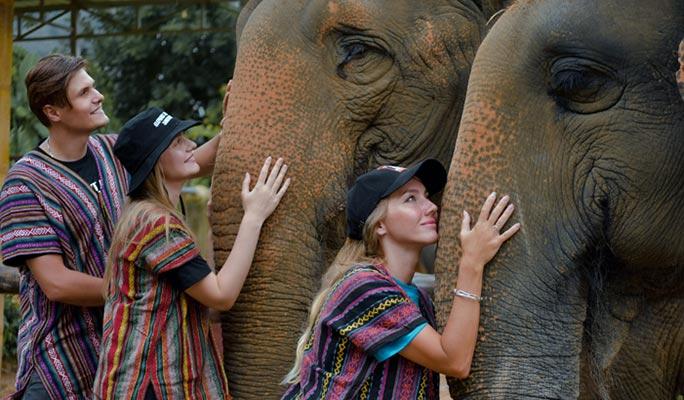 Phuket Elephant Jungle Sanctuary Visit (Morning/Afternoon) (+ Hotel Transfer) - main view