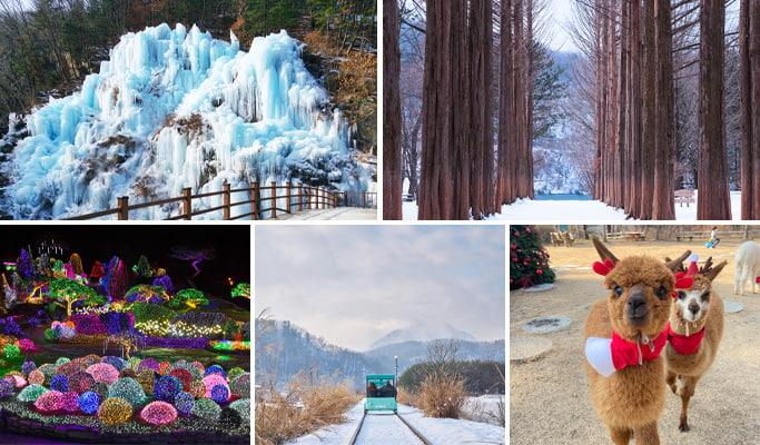 Seoul Winter Vicinity Tour: Eobi Ice Valley + Nami Island (+ Garden of Morning Calm/ Gangchon Rail Bike/ Alpaca World) 1 Day Tour (Dec 20~Mar 11) - main view
