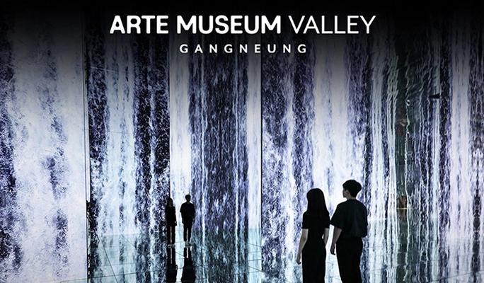 Gangneung Arte Museum Valley Ticket - main view