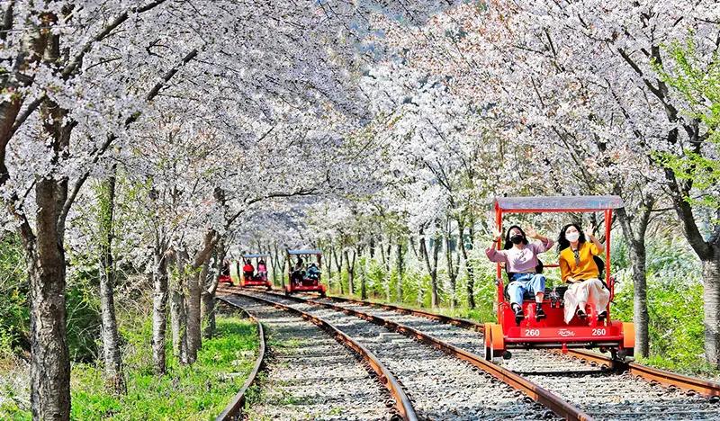 Gapyeong Rail Park - Rail Bike Ticket - main view