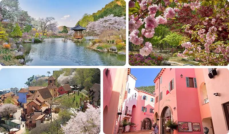 Nami Island + Petite France & Italian Village + Garden of Morning Calm Tour - main view