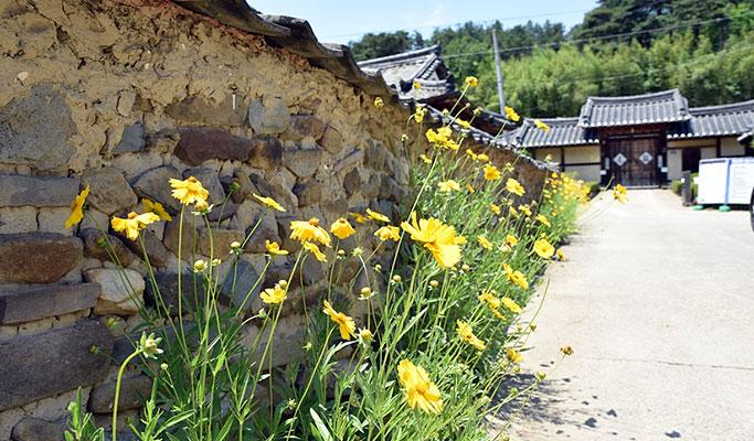 Gyeongbuk Goryeong 1 Day Private Tour from Daegu - main view