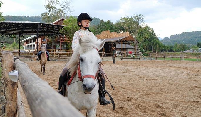 Chiang Mai Horseback Riding + Wat Ton Kwen Half Day Private Tour (+ Hotel Transfer) - main view