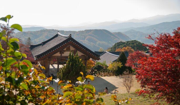 Autumn Foliage Gyeongbuk Trekking Tour from Seoul (Oct 30 & Nov 6) - main view