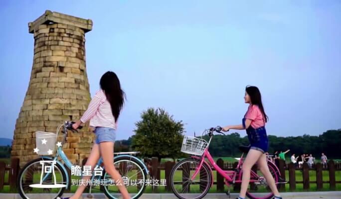 Gyeongju Bike/ Electric Scooter/ Gas Scooter Rental - main view