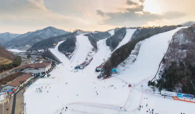 Elysian Gangchon Ski Resort 1 Day Ski/Snowboard/Snow Sled Tour from Seoul (with All-inclusive option) - main view