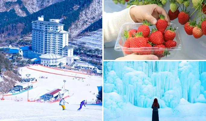 Elysian Gangchon Ski Resort (Ski/Snow Sled) + Eobi Ice Valley + Strawberry Picking 1 Day Tour from Seoul - main view