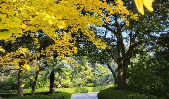 Jeju Ilchul Land Discount Ticket - main view