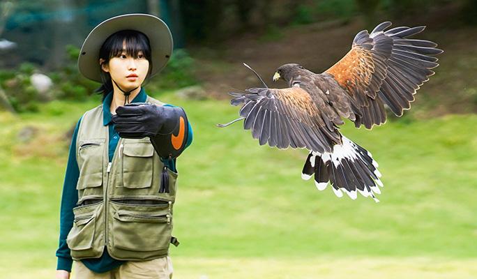 Jeju Hwajowon (Flower Bird Park) Entrance Ticket - main view