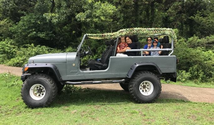 Off Road Adventure in Jeju Island - main view
