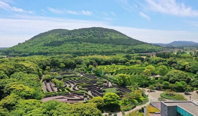 Maze Land Jeju Discount Ticket - main view