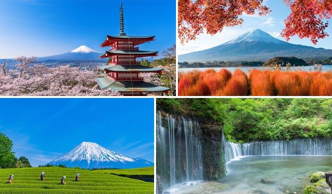 Mt. Fuji Highlight Photo Spots 1 Day Tour from Tokyo - main view