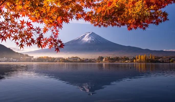 Mt. Fuji Signature Scenic Spots 1 Day Tour from Tokyo - main view
