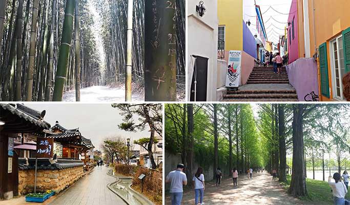 Damyang Bamboo Garden (Juknokwon) + Metasequoia Road + Meta Provence + Jeonju Hanok Village 1 Day Tour - from Seoul (~Oct) - main view