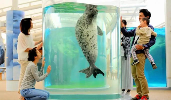 Kyoto Aquarium Admission Ticket - main view