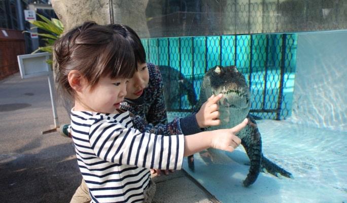 Atagawa Tropical & Alligator Garden Entrance Ticket - main view