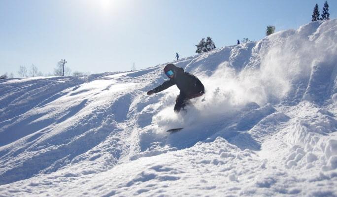 Dynaland Ski Resort: 1 Day Shuttle Bus Package from Nagoya (with Optional Lift Pass/Equipment/Clothes Rental) - main view