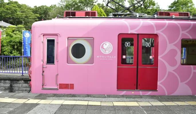 NANKAI ALL LINE 2 day Pass - main view