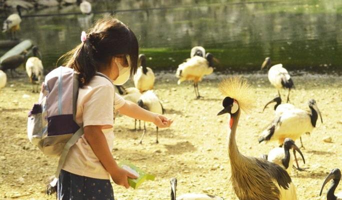 Okinawa Neo Park Ticket ( + Okinawa Light Rail / Fureai Hiroba) - main view