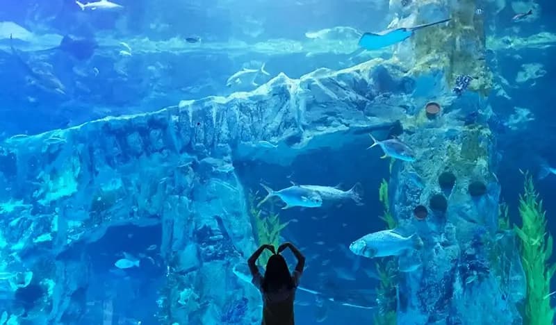 Lotte World Aquarium Discount Ticket with Optional Lotte World 1 Day Pass Combo - main