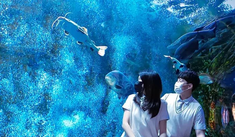 Lotte World Aquarium Discount Ticket with Optional Lotte World 1 Day Pass Combo - 2