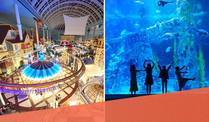 Lotte World Aquarium Discount Ticket with Optional Lotte World 1 Day Pass Combo - main view