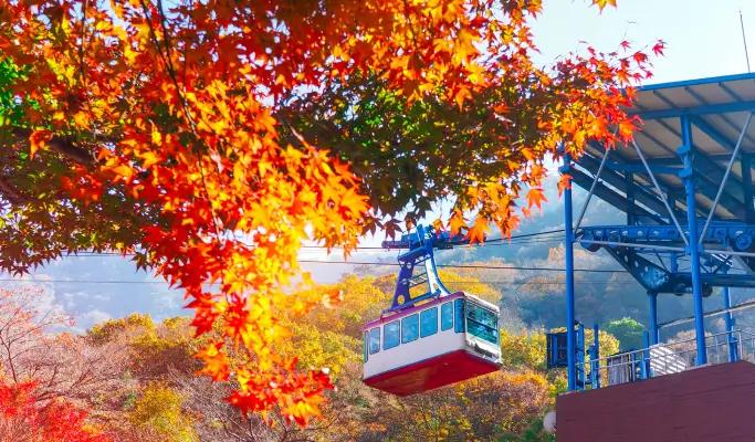 [Fall Special] Naejangsan/ Seoraksan National Park 1 Day Tour from Seoul (Oct 17~Nov 12) - main view