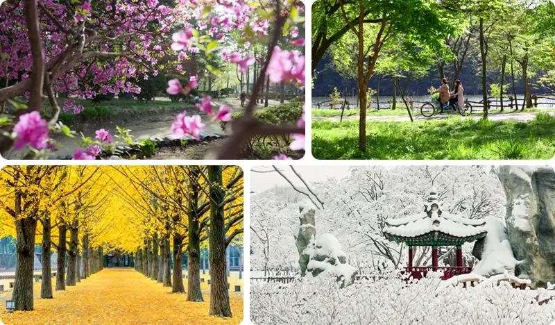 Nami Island Private Tour (+ Alpaca World/Rail Bike/Petite France/Garden of Morning Calm/Samaksan Cable Car options) - from Seoul - main view