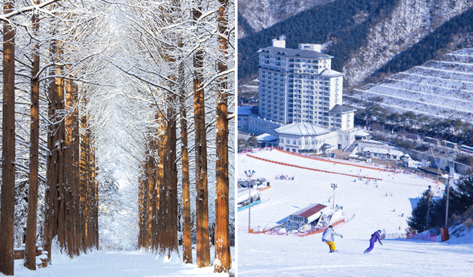 Nami Island & Elysian Gangchon Ski Resort 1 Day Package - main view