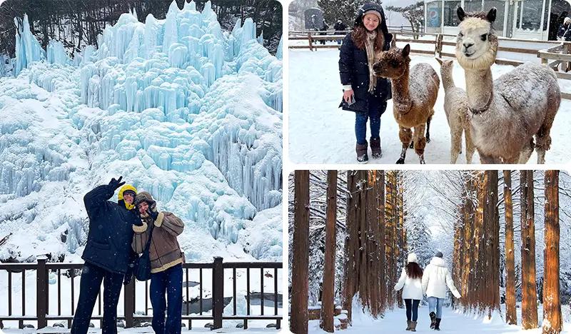 Nami Island + Eobi Ice Valley Tour (+ Garden of Morning Calm/ Rail Bike/ Petite France/ Alpaca World options) - main view